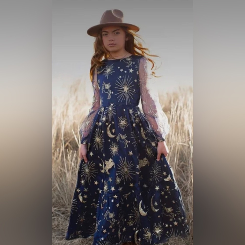 NWT Joyfolie Anabelle Dress in Navy